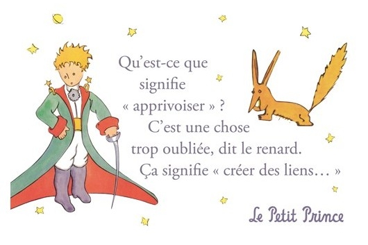Le Petit Prince - Apprivoiser - Créer des liens